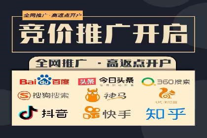 百度推广在电商行业的应用案例